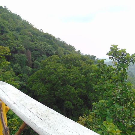 Dunarinka ミンカ エクステリア 写真