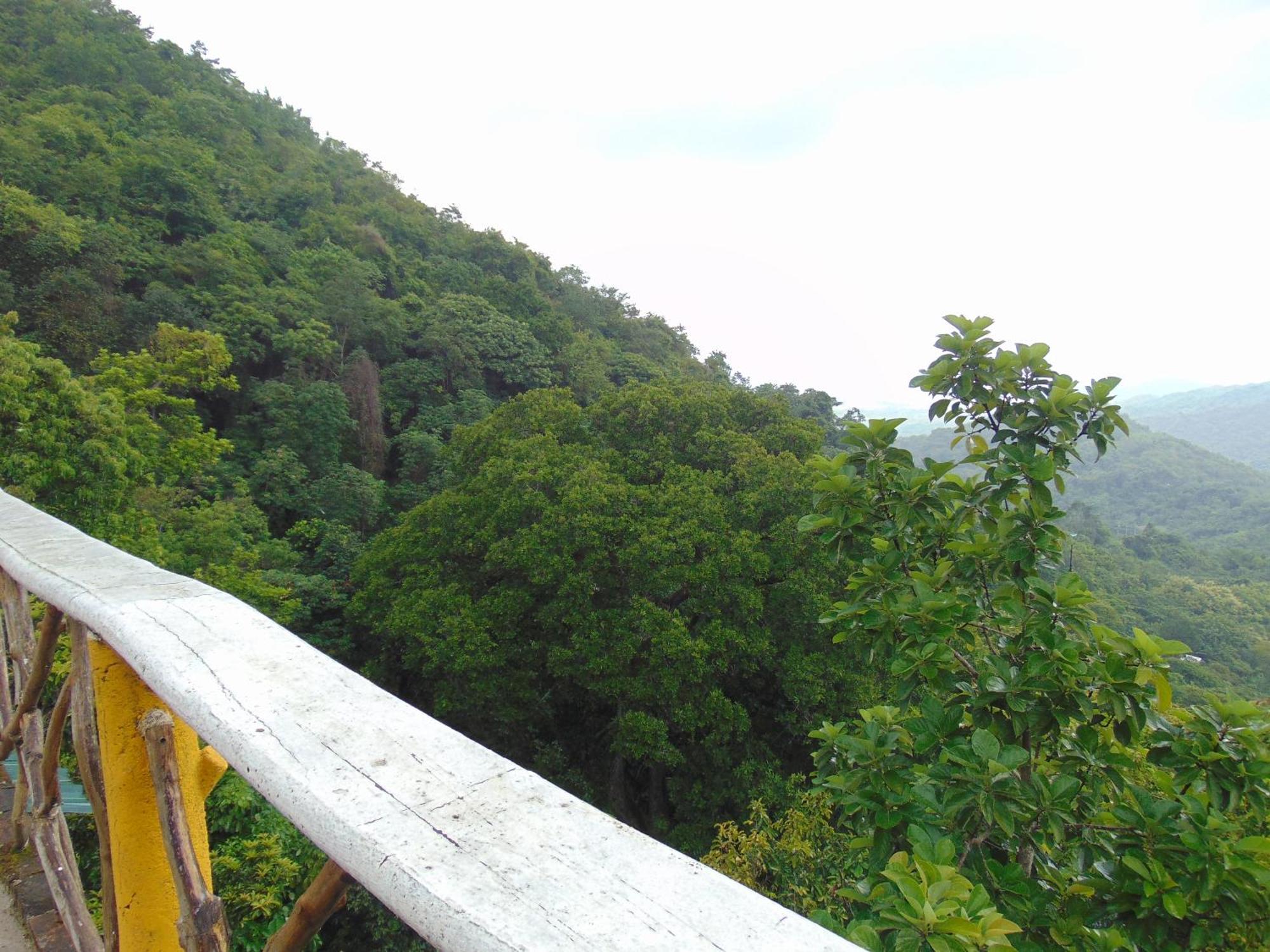 Dunarinka ミンカ エクステリア 写真
