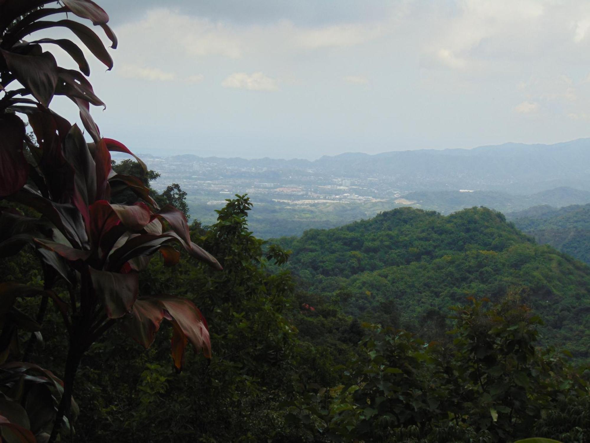 Dunarinka ミンカ エクステリア 写真