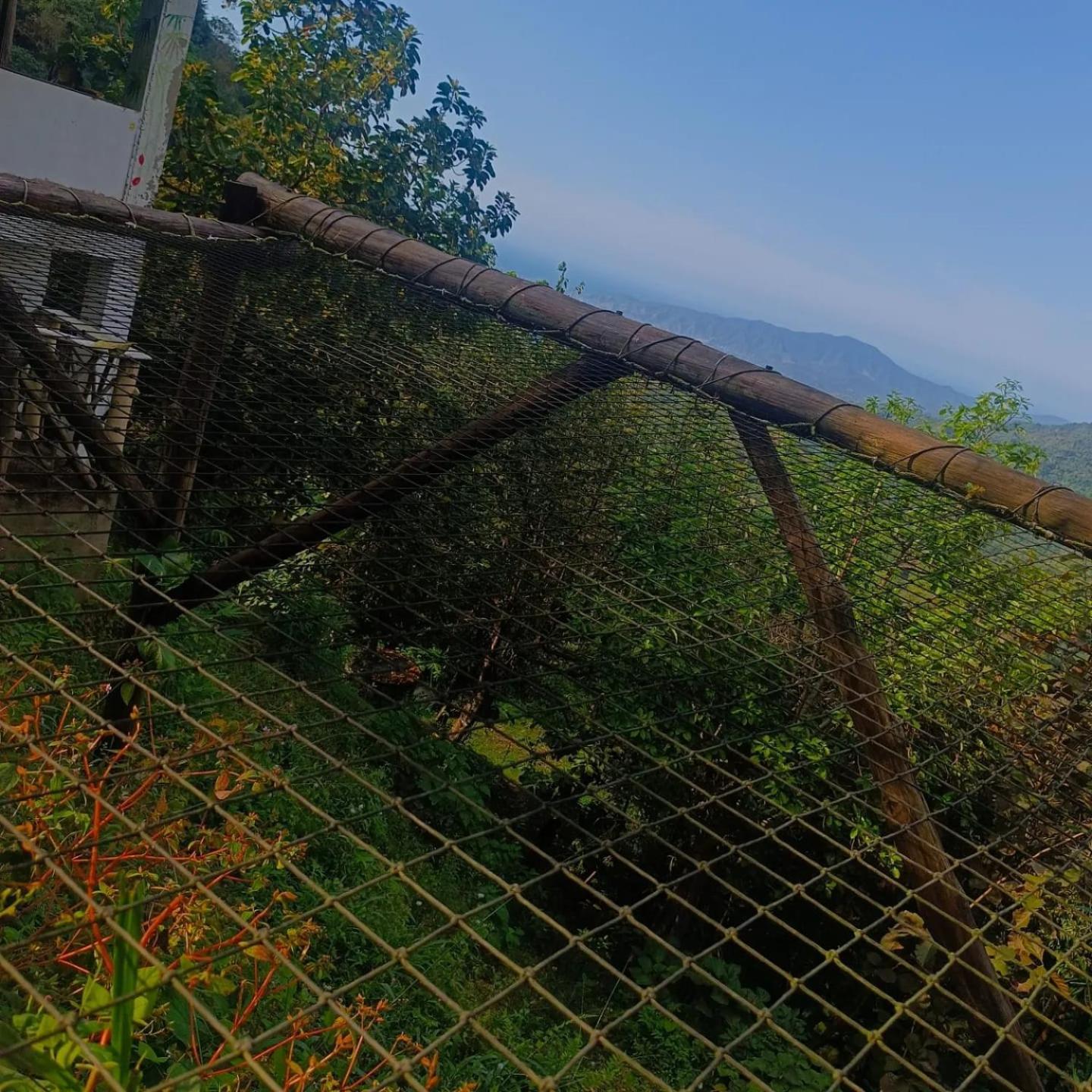 Dunarinka ミンカ エクステリア 写真