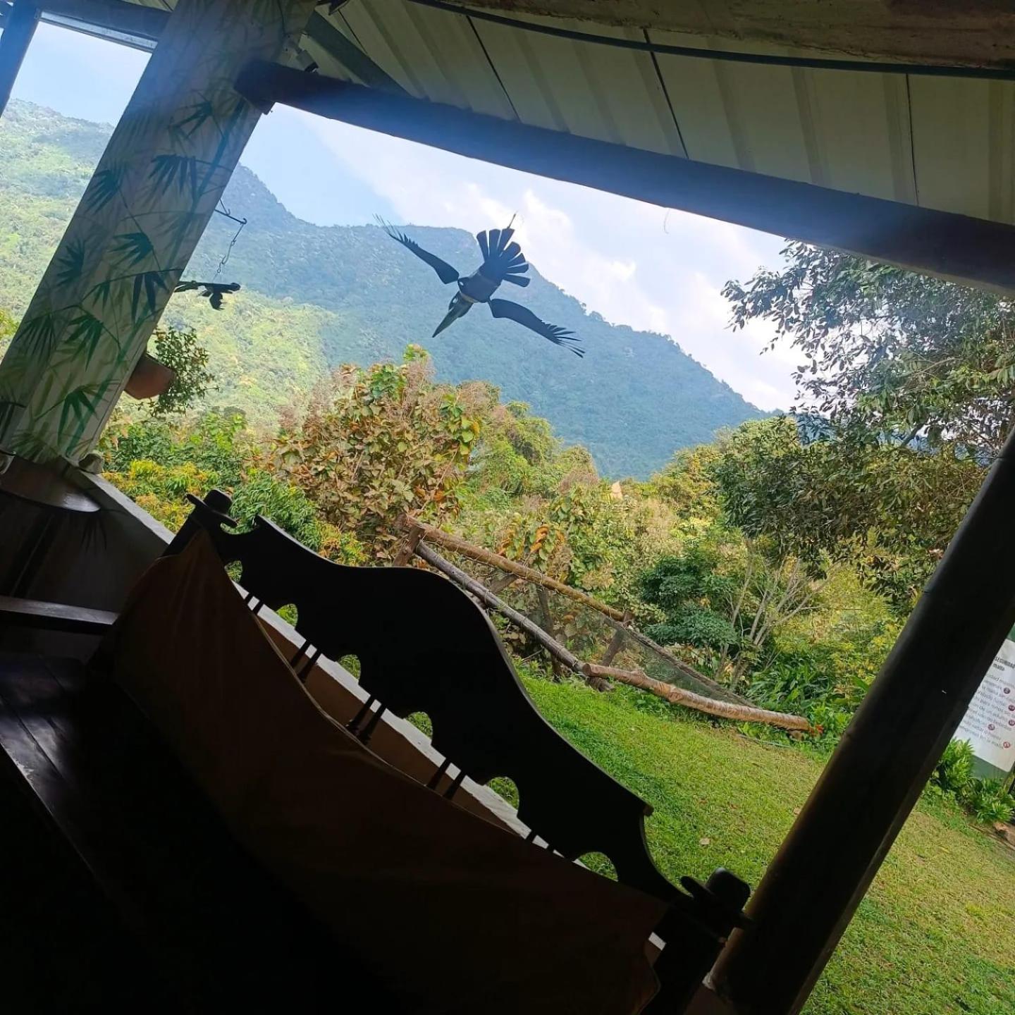 Dunarinka ミンカ エクステリア 写真