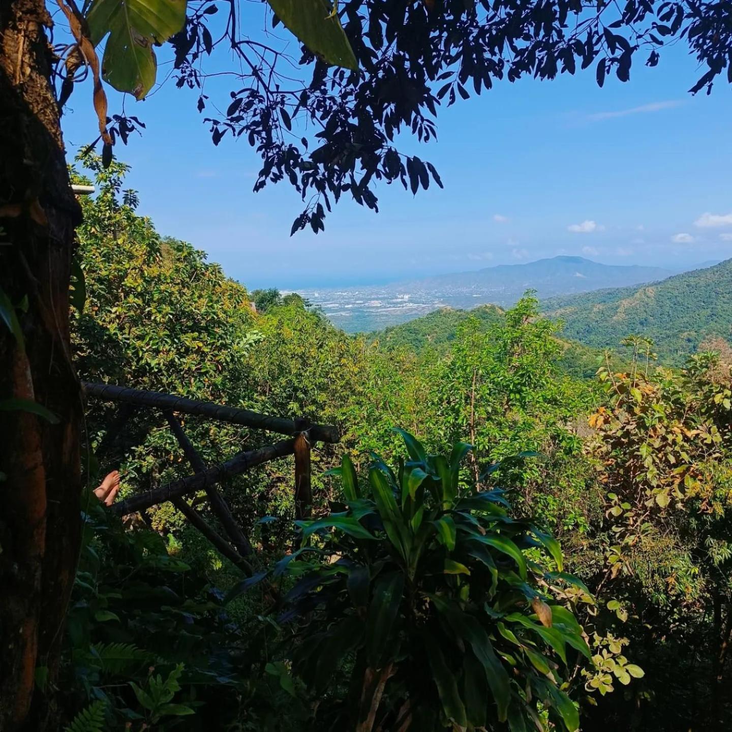 Dunarinka ミンカ エクステリア 写真